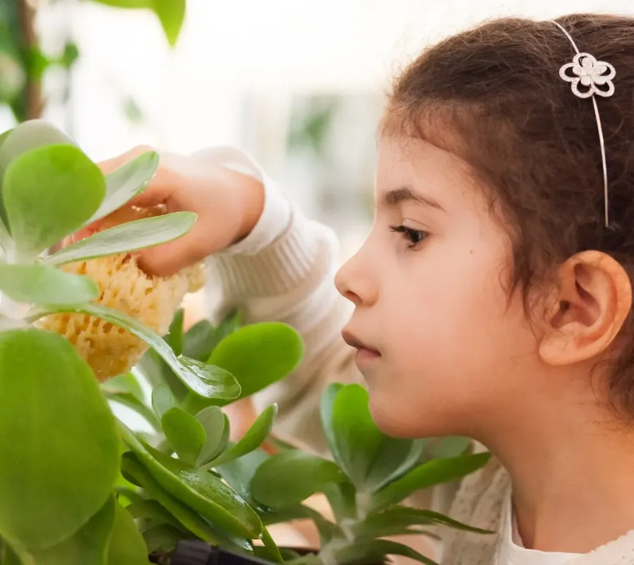 child cleaning a plant